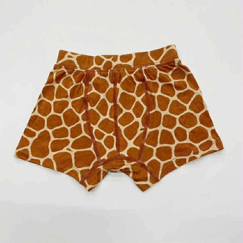 Animal Kingdom Boys Boxer’s (3 pack)- RTS