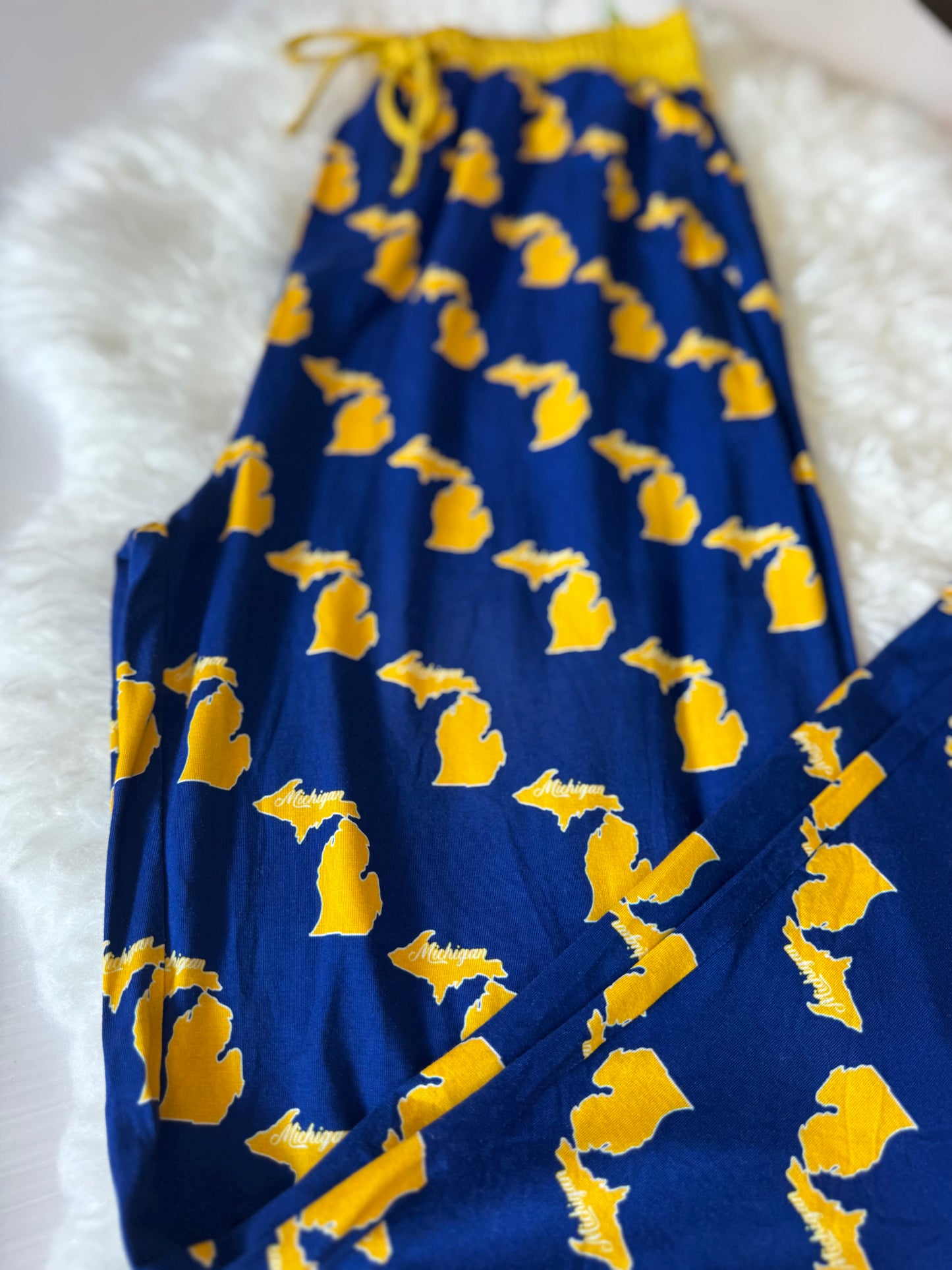 Michigan adult joggers
