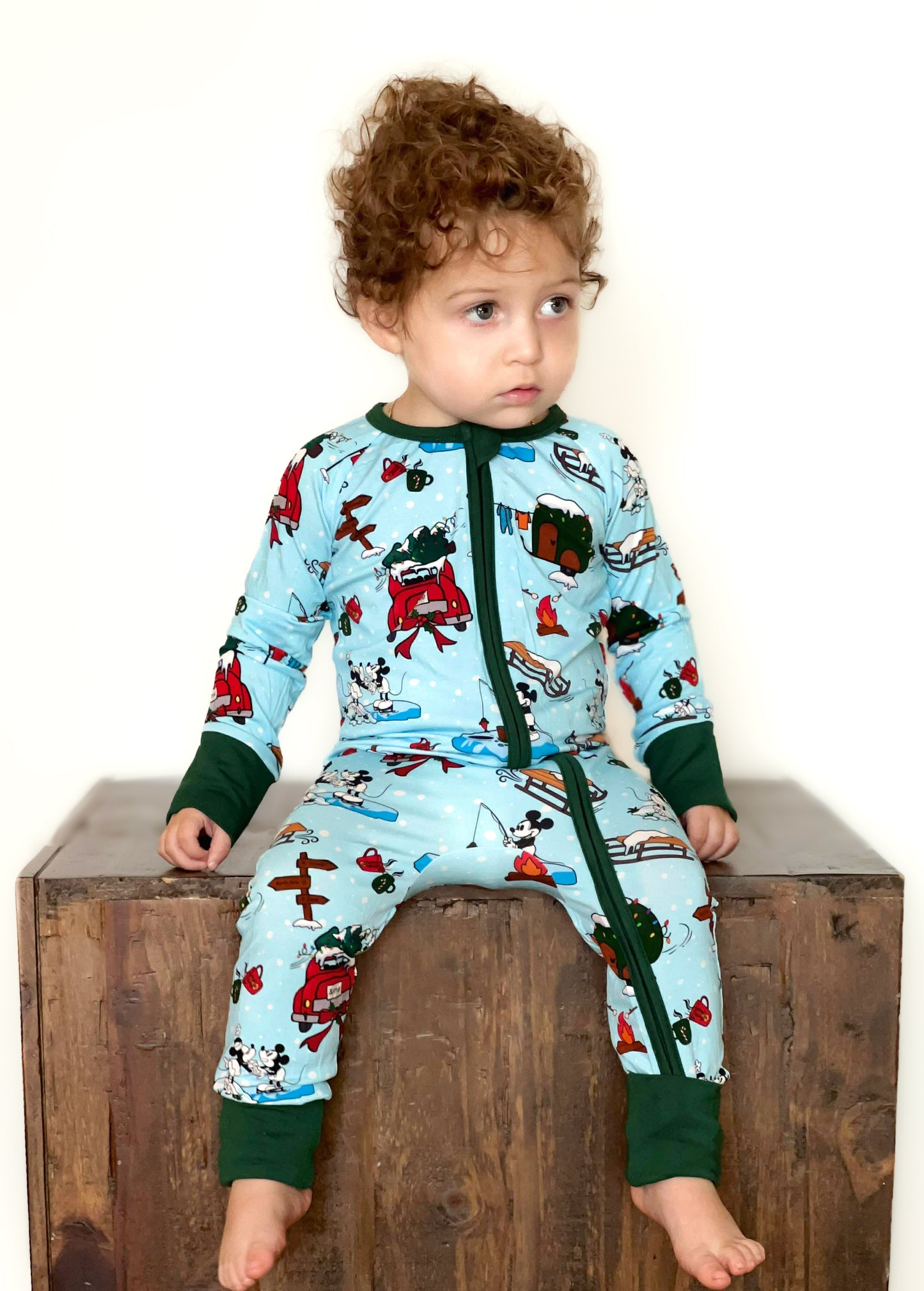 Alpine Mickey Zippy- Xmas RTS