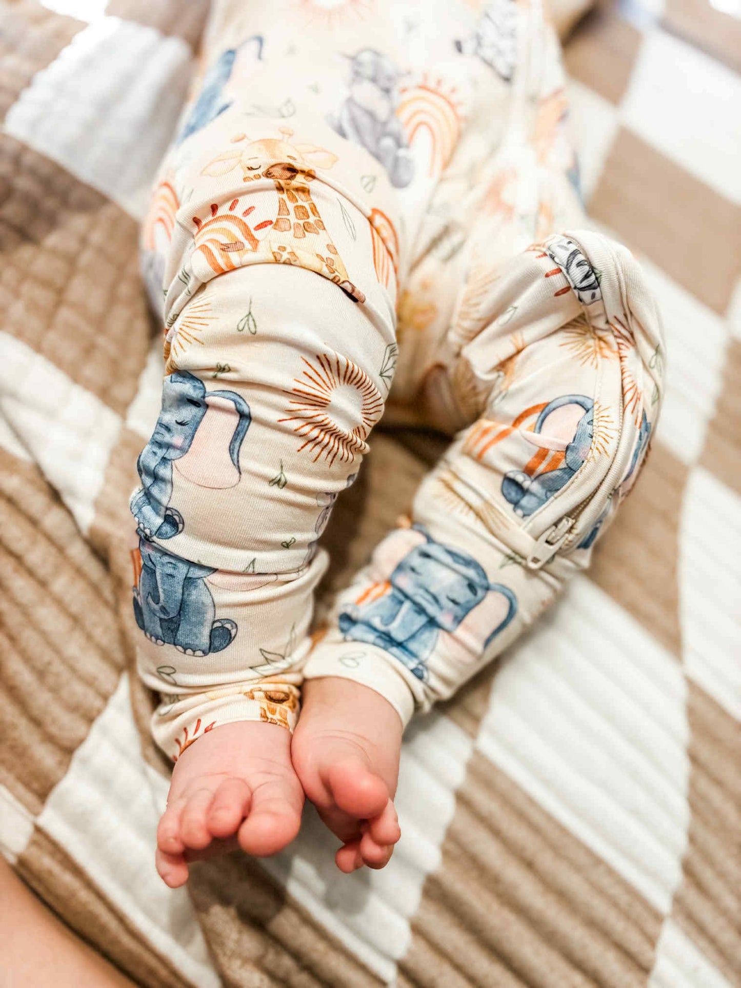 Wild Wonders Zippy- RTS