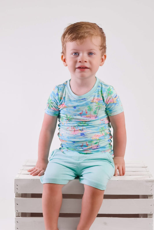 Flamingo Island Tee and Shorts Set