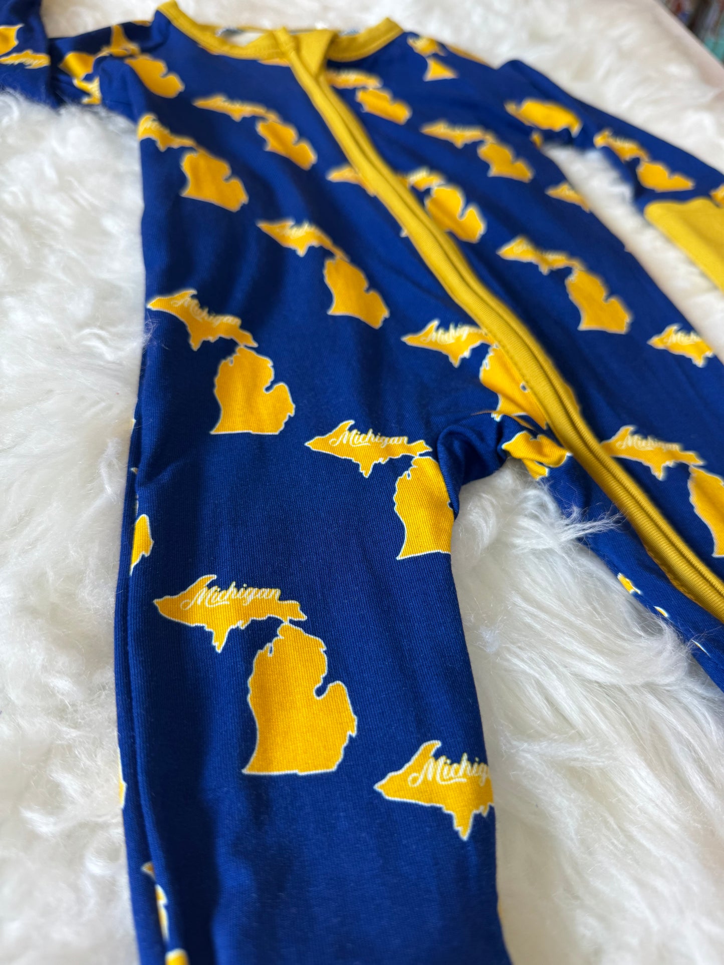 Michigan zippy