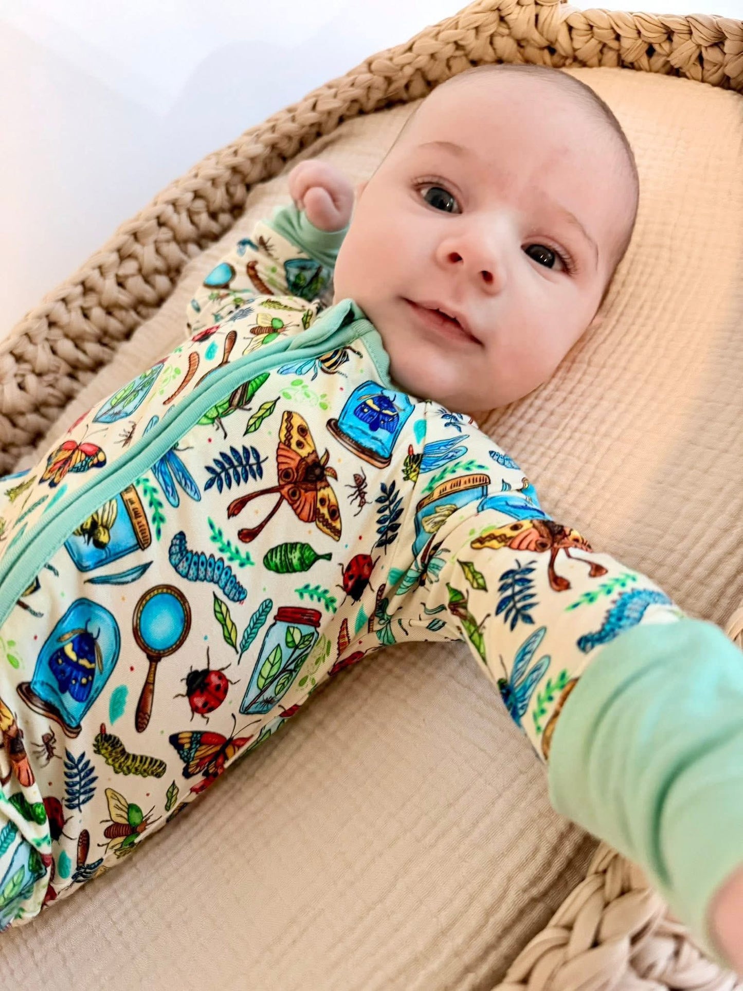 Bug Bonanza Zippy- RTS